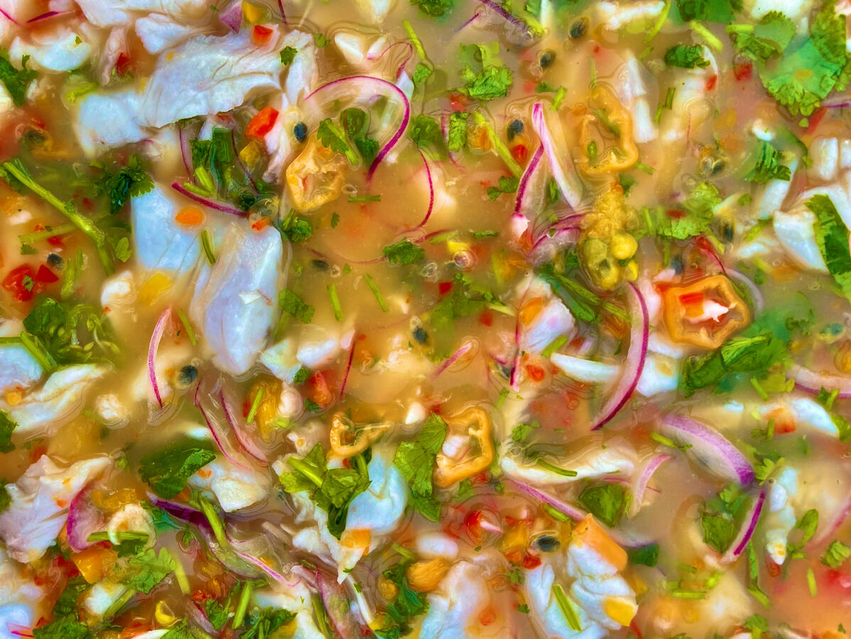 Dourada and passionfruit ceviche, private chef in the Algarve Dourada and passionfruit ceviche, private chef in the Algarve